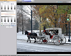 ACDSee Pro2.5 Photo Manager