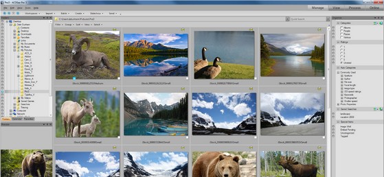 ACDSee Pro 3 photo management software updated, still no facial recognition