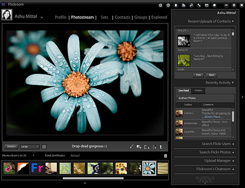 Flickroom: desktop Flickr photoviewer