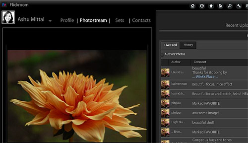 Flickroom: desktop Flickr photoviewer
