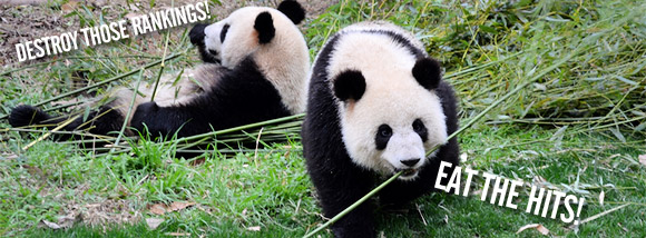 Google's evil 'Panda' search engine update wreaks havoc on UK websites