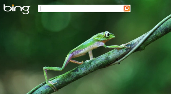 Bing search now comes with a pointlessly perambulating video frog