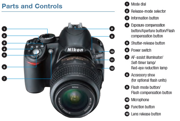 Nikon D3100 budget SLR packs full HD video recording