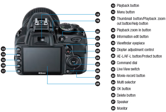 Nikon D3100 budget SLR packs full HD video recording