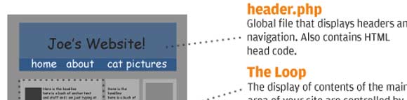 WordPress explained in a natty inforgraphic