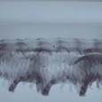 LG releases a WTF video to show off its quad core Optimus G handset Lord knows what they’ve been sprinkling on their cornflakes, but the folks at LG have produced a truly bizarre four minute video to promote their Optimus G handset.