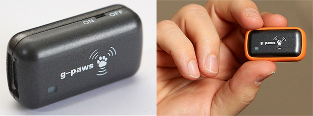 Track where your pet cat or dog roams at night with a G-Paws GPS gizmo