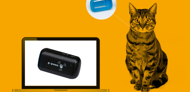 Track where your pet cat roams at night witha G-Paws GPS gizmo
